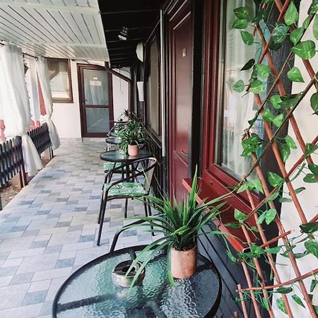Pensiunea Red Rose Apartments Temeşvar Dış mekan fotoğraf