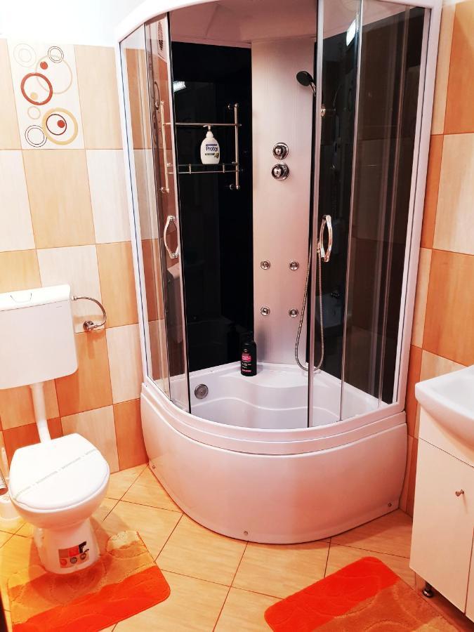 Pensiunea Red Rose Apartments Temeşvar Dış mekan fotoğraf