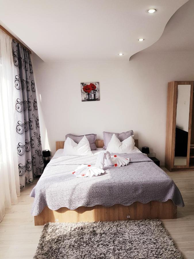Pensiunea Red Rose Apartments Temeşvar Dış mekan fotoğraf