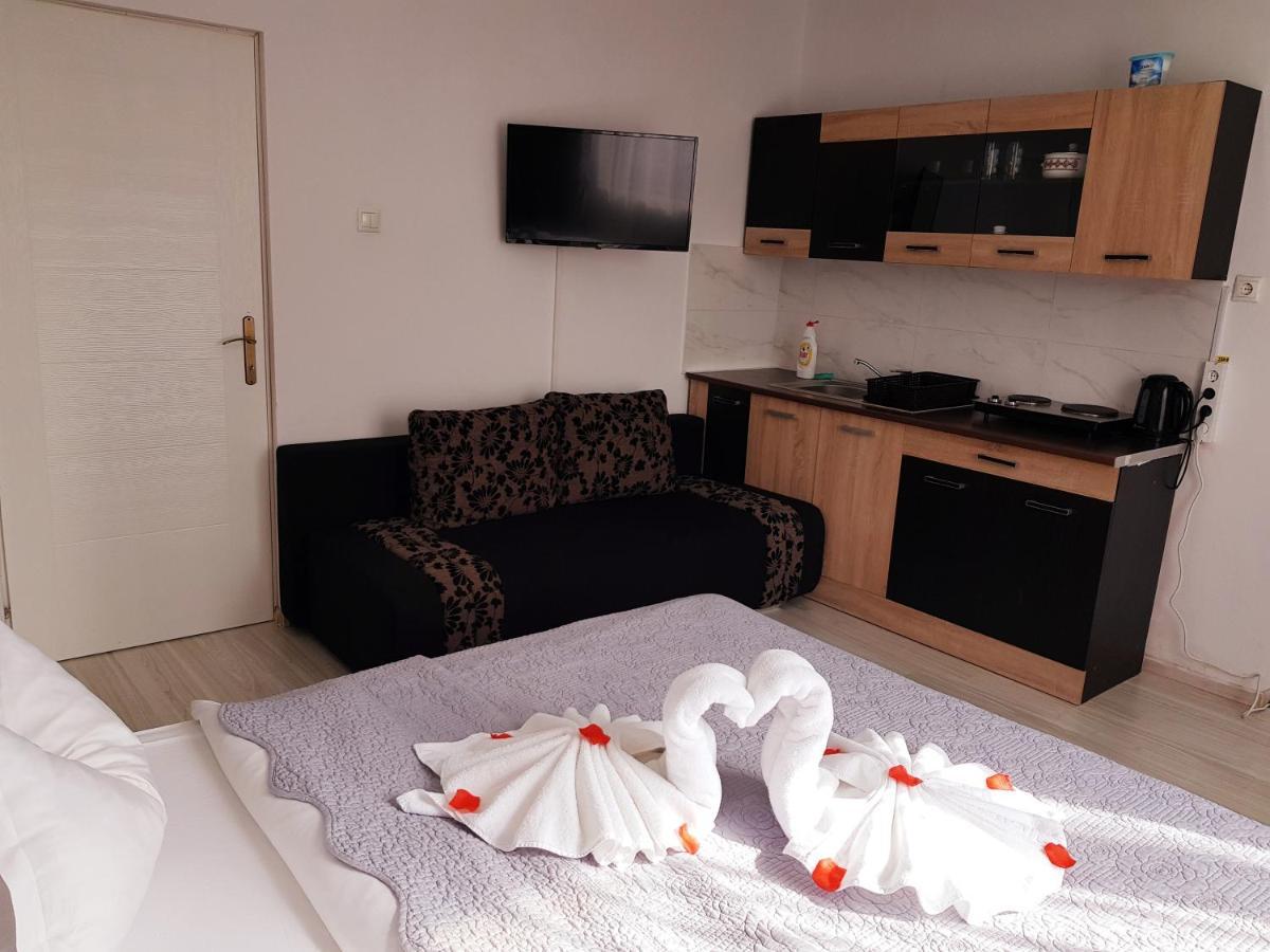Pensiunea Red Rose Apartments Temeşvar Dış mekan fotoğraf
