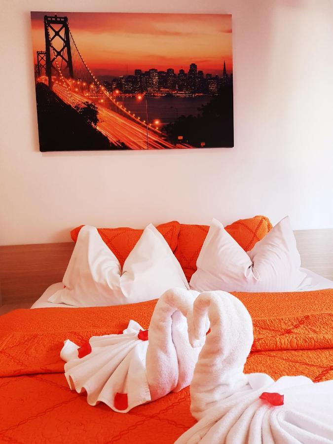 Pensiunea Red Rose Apartments Temeşvar Dış mekan fotoğraf