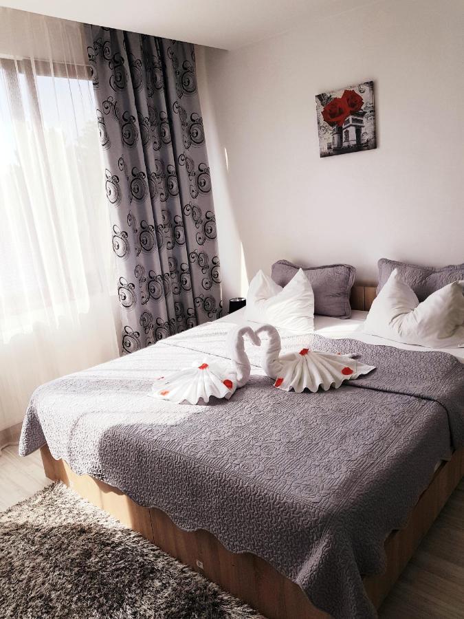Pensiunea Red Rose Apartments Temeşvar Dış mekan fotoğraf