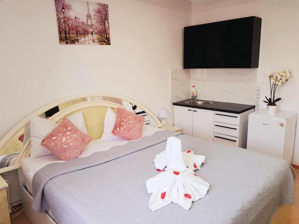 Pensiunea Red Rose Apartments Temeşvar Dış mekan fotoğraf
