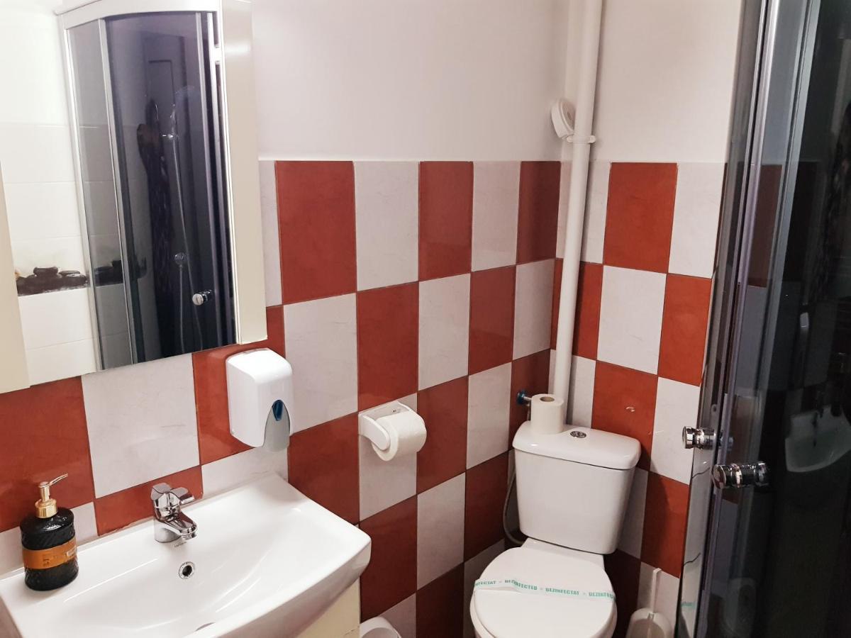 Pensiunea Red Rose Apartments Temeşvar Dış mekan fotoğraf