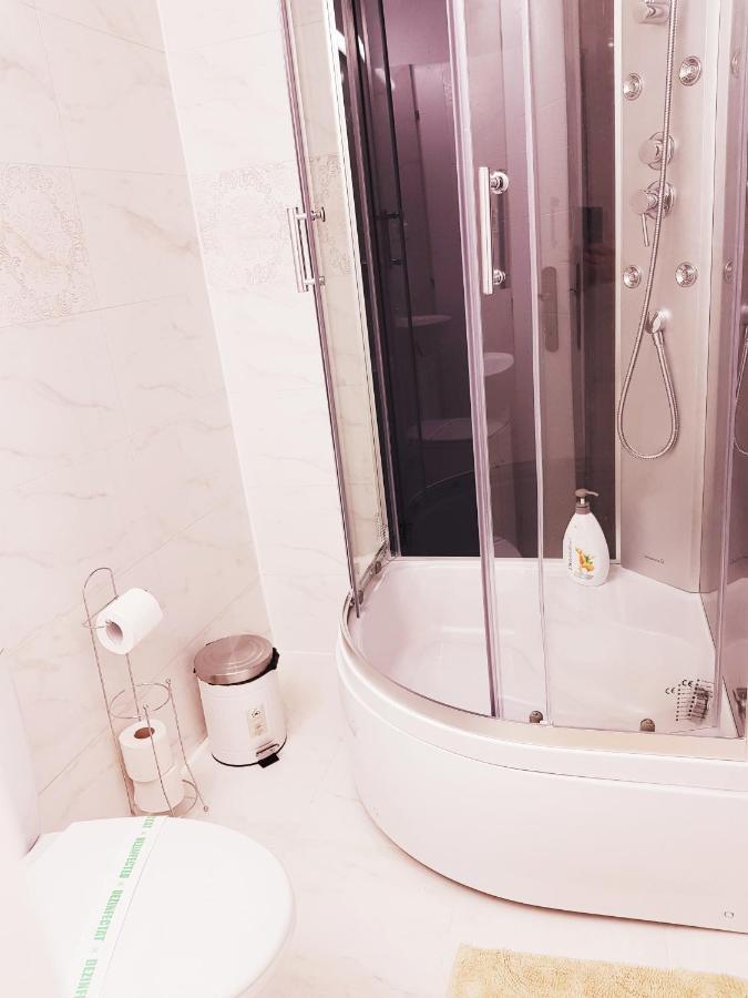 Pensiunea Red Rose Apartments Temeşvar Dış mekan fotoğraf