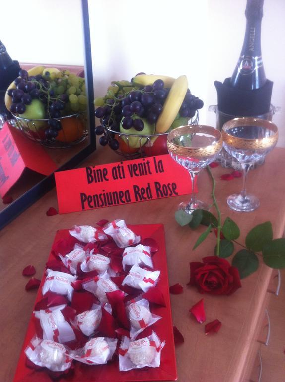 Pensiunea Red Rose Apartments Temeşvar Oda fotoğraf