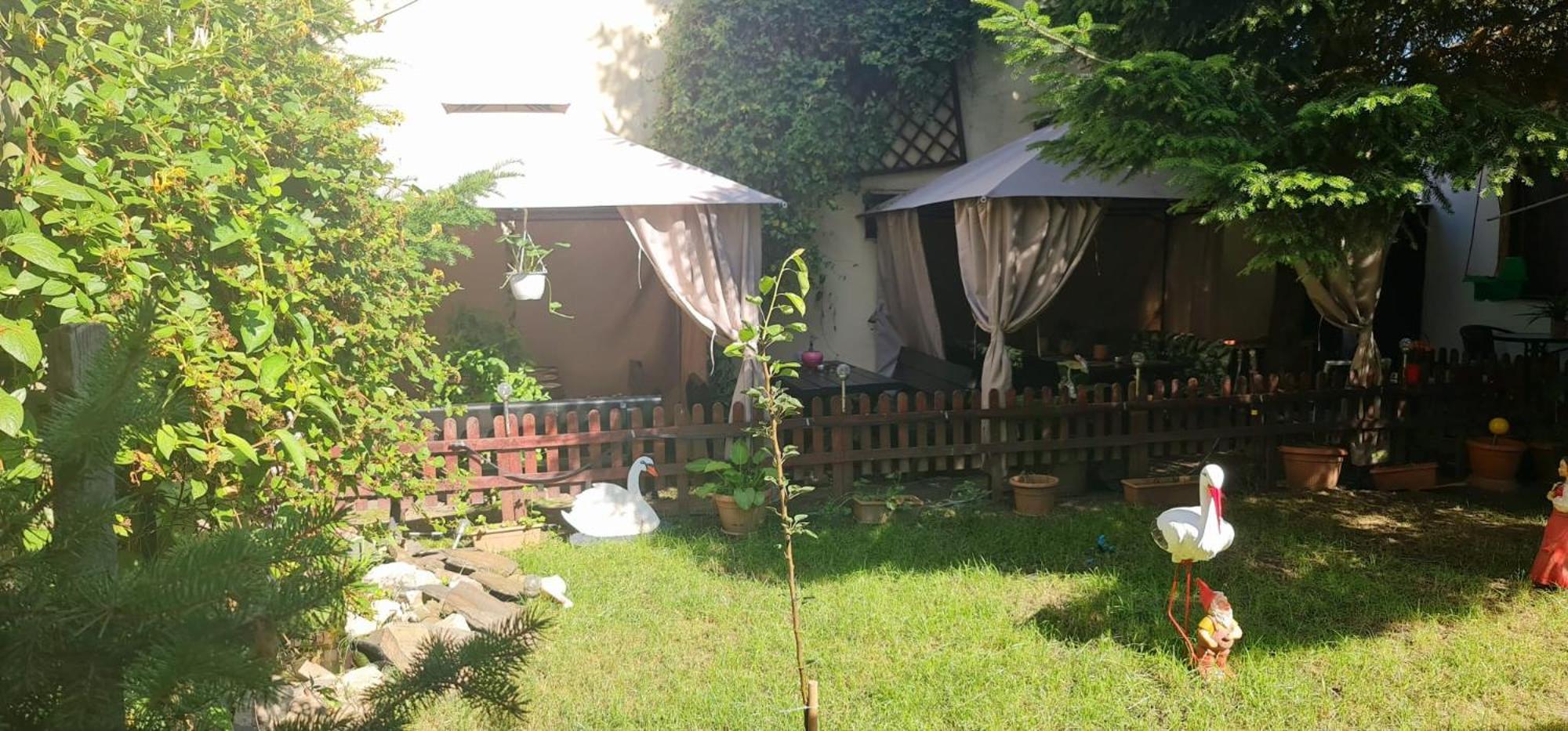 Pensiunea Red Rose Apartments Temeşvar Dış mekan fotoğraf