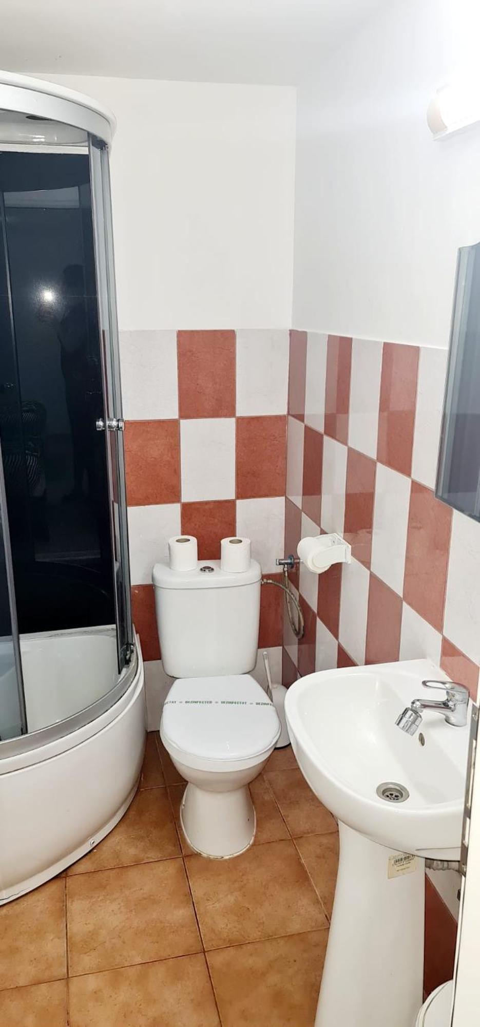 Pensiunea Red Rose Apartments Temeşvar Dış mekan fotoğraf