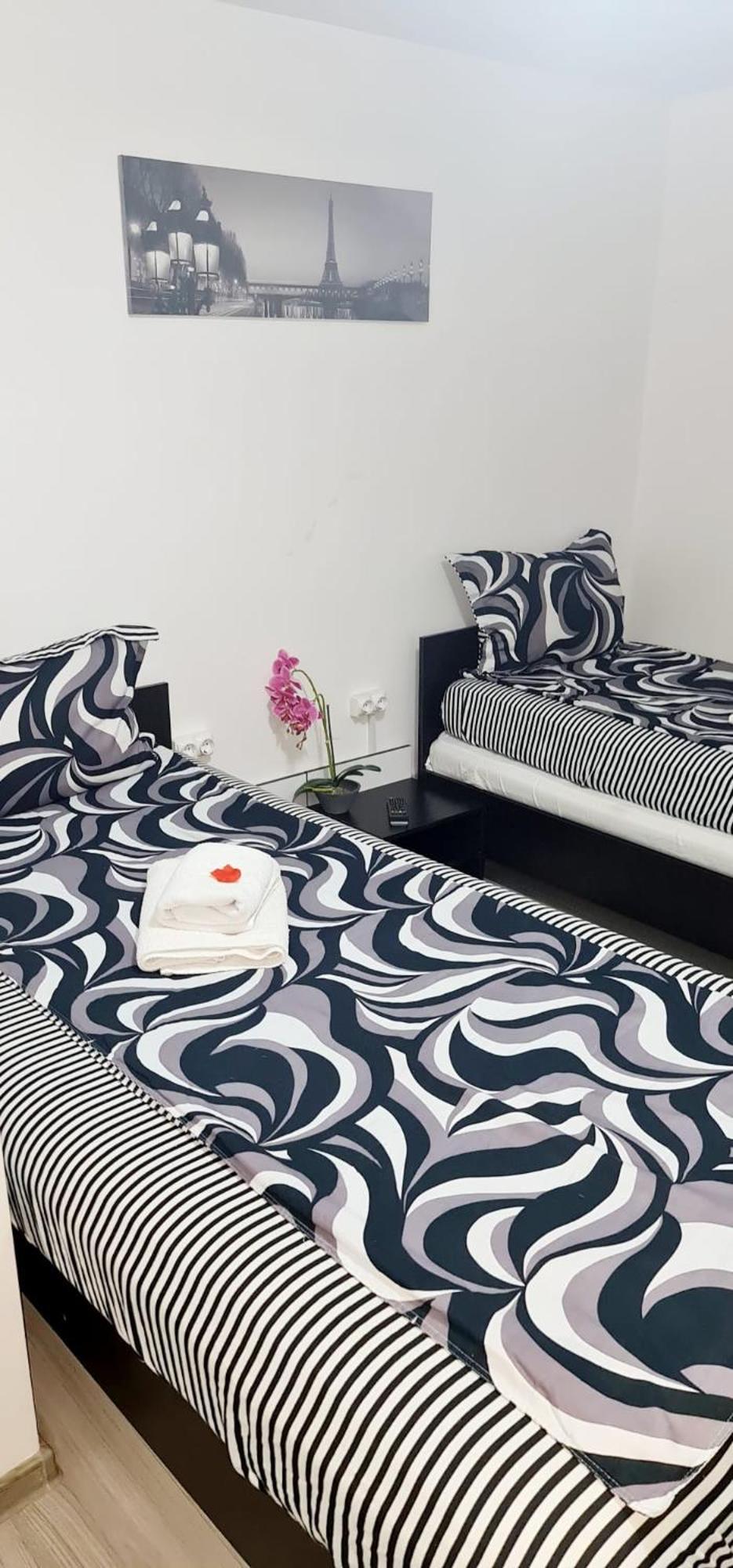 Pensiunea Red Rose Apartments Temeşvar Dış mekan fotoğraf