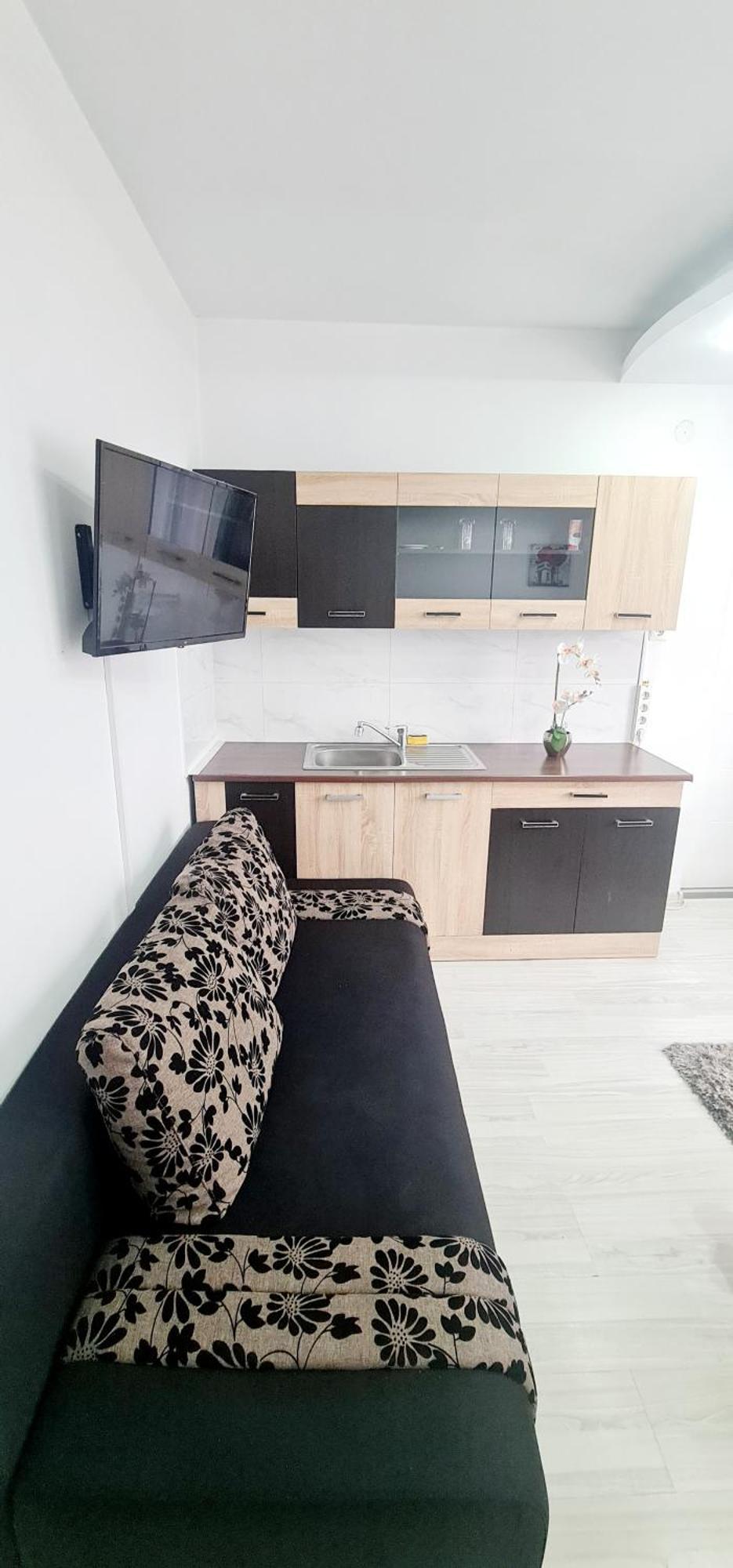 Pensiunea Red Rose Apartments Temeşvar Dış mekan fotoğraf