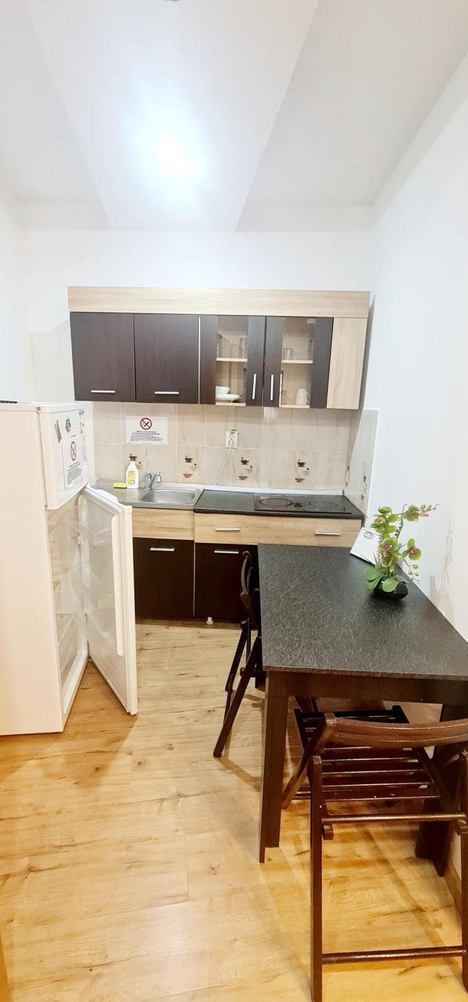 Pensiunea Red Rose Apartments Temeşvar Dış mekan fotoğraf
