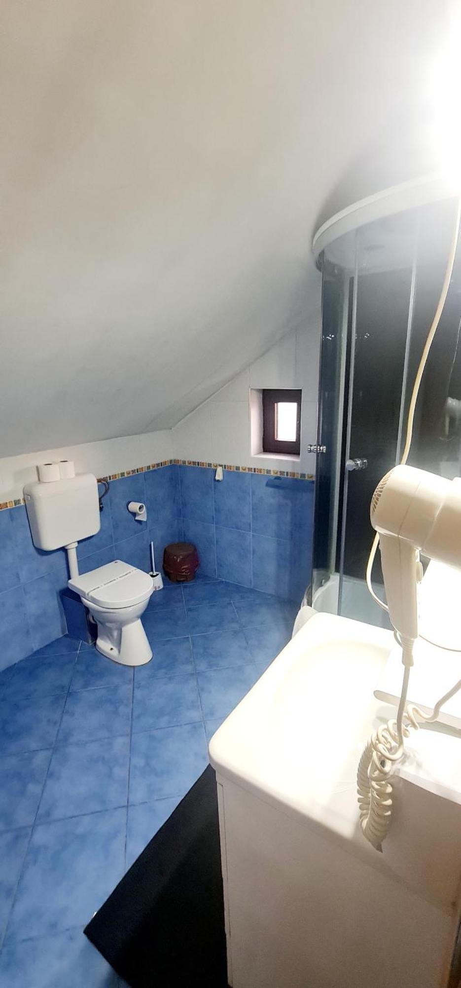 Pensiunea Red Rose Apartments Temeşvar Dış mekan fotoğraf