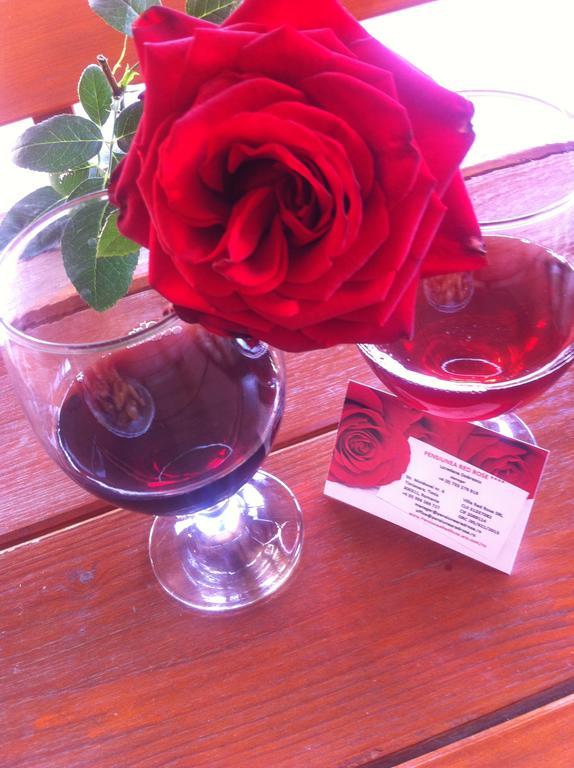 Pensiunea Red Rose Apartments Temeşvar Dış mekan fotoğraf